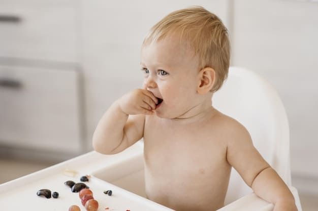 Introdução alimentar na dieta do bebê: Como introduzir novos alimentos?